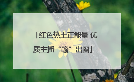 红色热土正能量 优质主播“赣”出圈