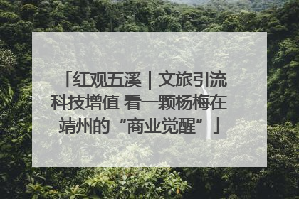 红观五溪｜文旅引流 科技增值 看一颗杨梅在靖州的“商业觉醒”