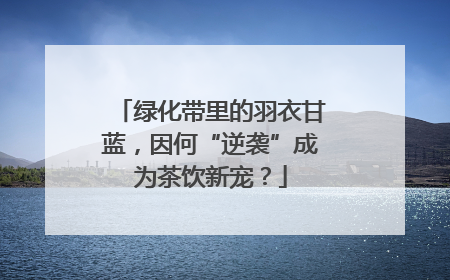 绿化带里的羽衣甘蓝，因何“逆袭”成为茶饮新宠？