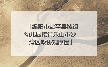 绵阳市盐亭县嫘祖幼儿园接待乐山市沙湾区政协观摩团