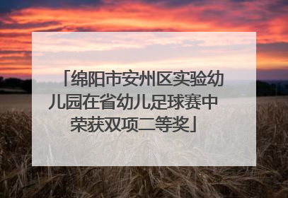 绵阳市安州区实验幼儿园在省幼儿足球赛中荣获双项二等奖
