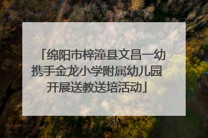 绵阳市梓潼县文昌一幼携手金龙小学附属幼儿园开展送教送培活动