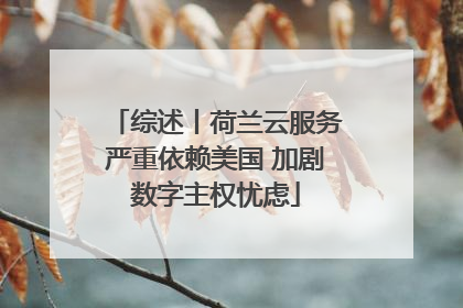 综述丨荷兰云服务严重依赖美国 加剧数字主权忧虑