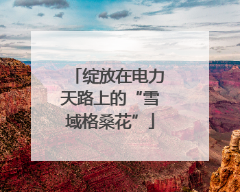绽放在电力天路上的“雪域格桑花”