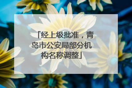 经上级批准，青岛市公安局部分机构名称调整