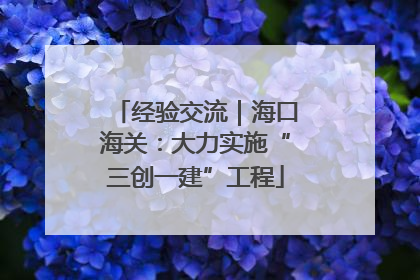 经验交流｜海口海关：大力实施“三创一建”工程