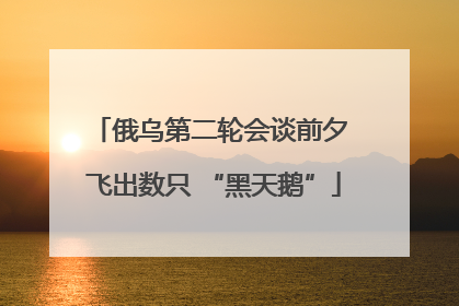 俄乌第二轮会谈前夕 飞出数只 “黑天鹅”
