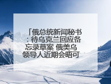 俄总统新闻秘书：待乌克兰回应备忘录草案 俄美乌领导人近期会晤可能性小