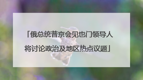 俄总统普京会见也门领导人 将讨论政治及地区热点议题