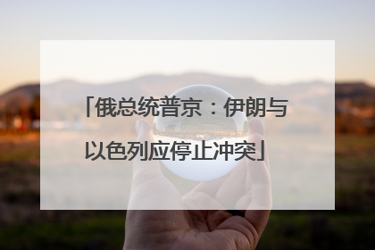 俄总统普京：伊朗与以色列应停止冲突