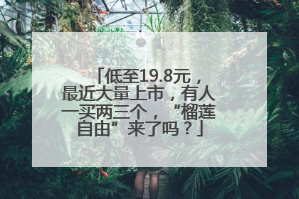 低至19.8元，最近大量上市，有人一买两三个，“榴莲自由”来了吗？