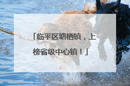 临平区塘栖镇，上榜省级中心镇！
