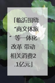 临沂围绕“商文体旅”等一体化改革 带动相关消费2.1亿元