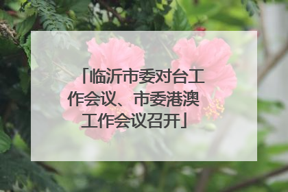 临沂市委对台工作会议、市委港澳工作会议召开