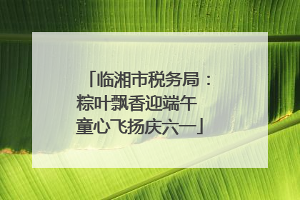 临湘市税务局：粽叶飘香迎端午 童心飞扬庆六一