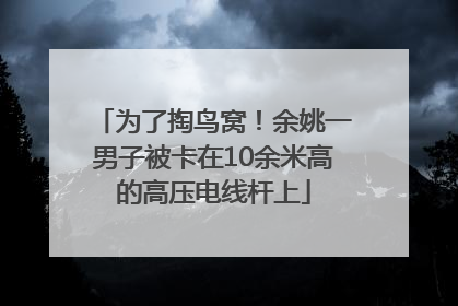 为了掏鸟窝！余姚一男子被卡在10余米高的高压电线杆上