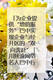 为企业提供“增值服务”巴中实现企业与经开区的“双向奔赴”｜川陕渝网络名人巴中行