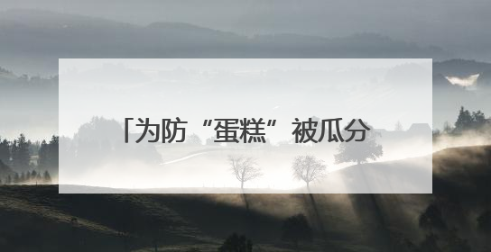 为防“蛋糕”被瓜分 美国罕见主动推销