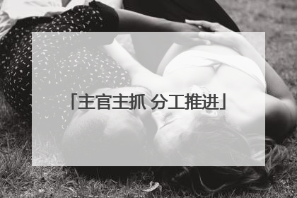 主官主抓 分工推进