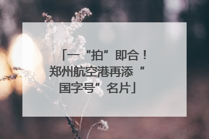 一“拍”即合！郑州航空港再添“国字号”名片