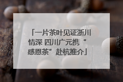 一片茶叶见证浙川情深 四川广元携“感恩茶”赴杭推介