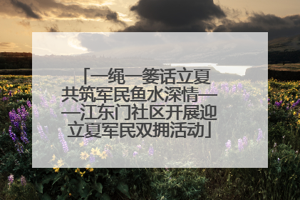 一绳一篓话立夏 共筑军民鱼水深情——江东门社区开展迎立夏军民双拥活动