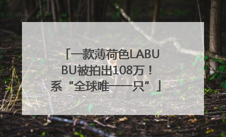 一款薄荷色LABUBU被拍出108万！系“全球唯一一只”