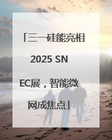 三一硅能亮相2025 SNEC展，智能微网成焦点