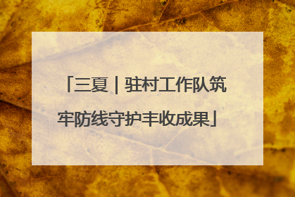 三夏｜驻村工作队筑牢防线守护丰收成果