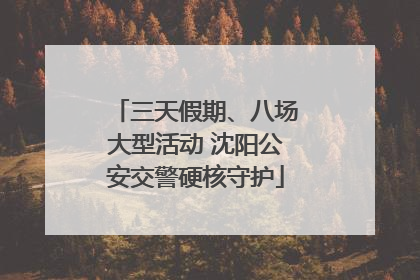 三天假期、八场大型活动 沈阳公安交警硬核守护