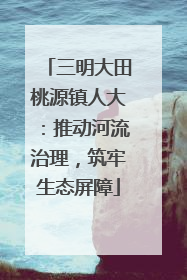 三明大田桃源镇人大：推动河流治理，筑牢生态屏障