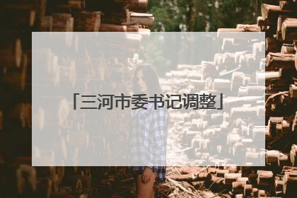 三河市委书记调整