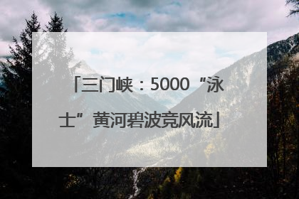 三门峡：5000“泳士”黄河碧波竞风流