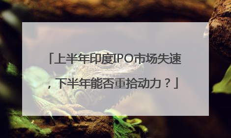上半年印度IPO市场失速，下半年能否重拾动力？