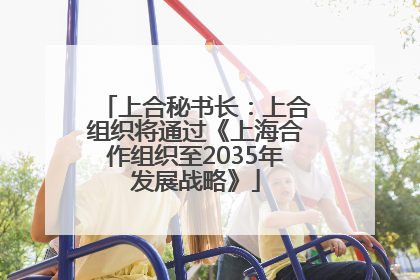 上合秘书长：上合组织将通过《上海合作组织至2035年发展战略》