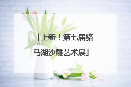 上新！第七届骆马湖沙雕艺术展