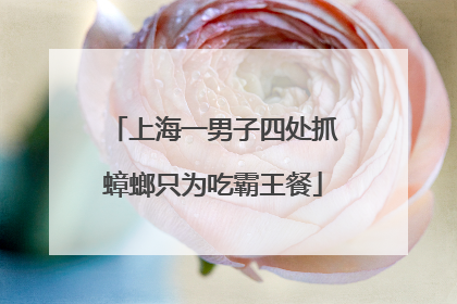 上海一男子四处抓蟑螂只为吃霸王餐