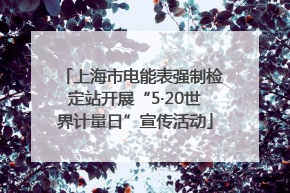 上海市电能表强制检定站开展“5·20世界计量日”宣传活动
