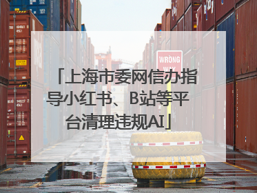 上海市委网信办指导小红书、B站等平台清理违规AI
