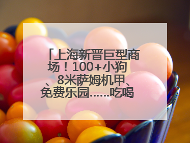 上海新晋巨型商场！100+小狗、8米萨姆机甲、免费乐园……吃喝玩乐攻略