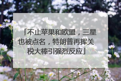 不止苹果和欧盟，三星也被点名，特朗普再挥关税大棒引强烈反应