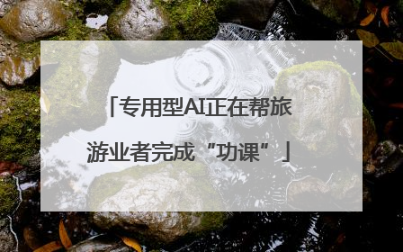 专用型AI正在帮旅游业者完成“功课”