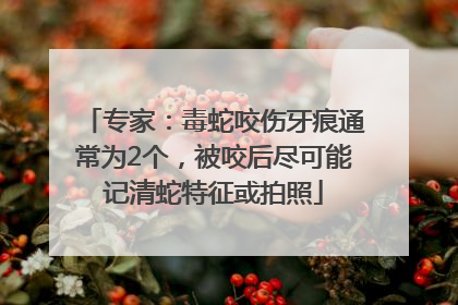专家：毒蛇咬伤牙痕通常为2个，被咬后尽可能记清蛇特征或拍照
