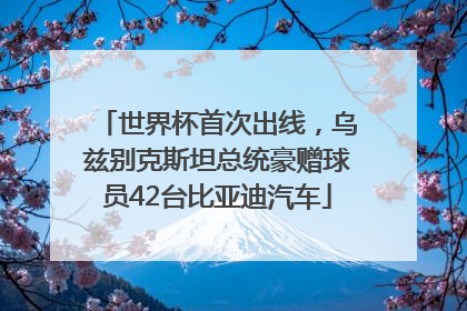 世界杯首次出线，乌兹别克斯坦总统豪赠球员42台比亚迪汽车