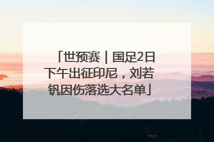 世预赛｜国足2日下午出征印尼，刘若钒因伤落选大名单