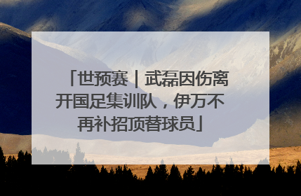 世预赛｜武磊因伤离开国足集训队，伊万不再补招顶替球员