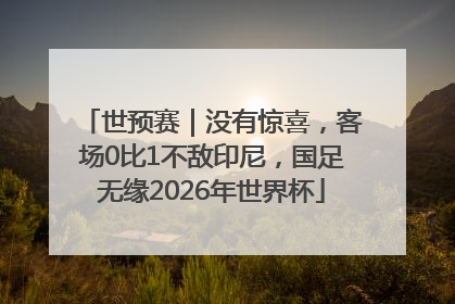 世预赛｜没有惊喜，客场0比1不敌印尼，国足无缘2026年世界杯