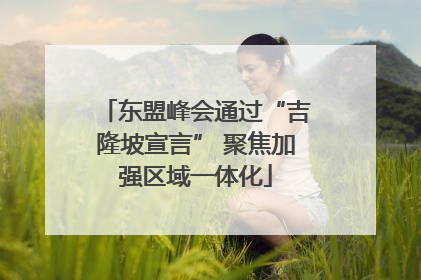东盟峰会通过“吉隆坡宣言” 聚焦加强区域一体化