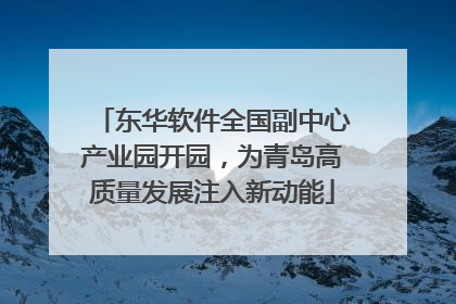 东华软件全国副中心产业园开园，为青岛高质量发展注入新动能