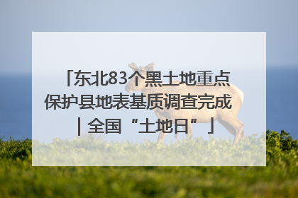 东北83个黑土地重点保护县地表基质调查完成｜全国“土地日”